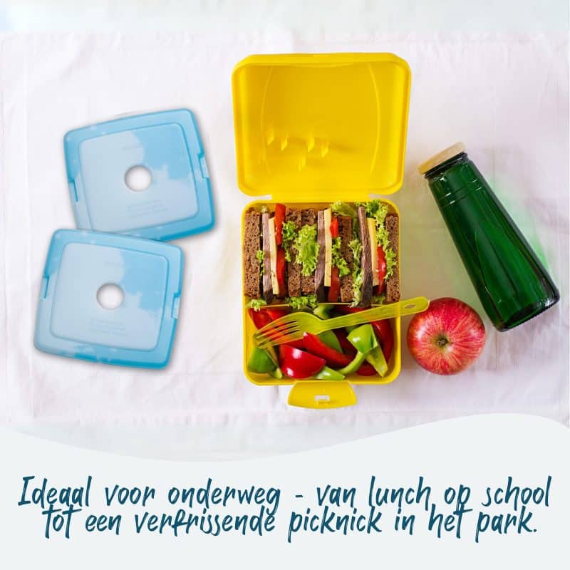 MIJOMA Mini Koelaccu's – Herbruikbare Koelpads Voor Lunchbox, Koeltas En Broodtrommel – Pastelkleuren, Compact En Voedselveilig (6 Stuks)